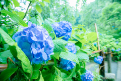 蒼色