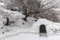 雪の日はかまくら作りませんか？