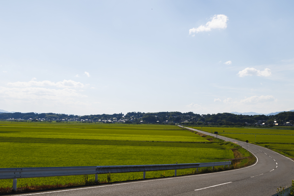 どこまでも夏