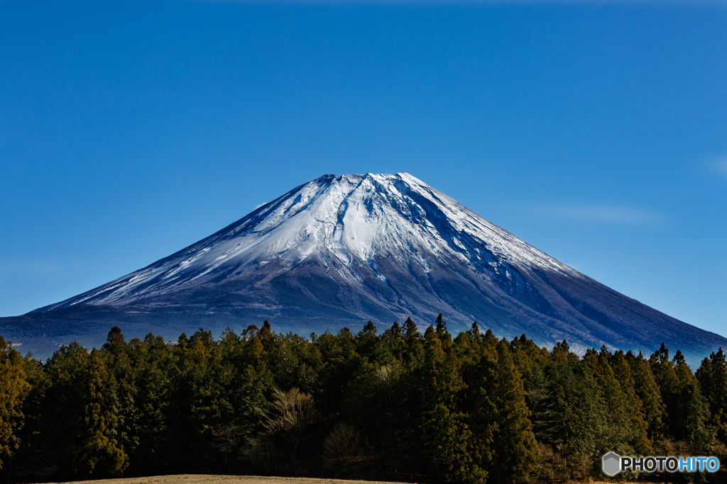 富士山【森と富士と空と】