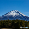 富士山【森と富士と空と】