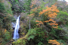 秋と滝と雨と