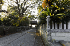 賀茂神社 鳥の囀りが止まない