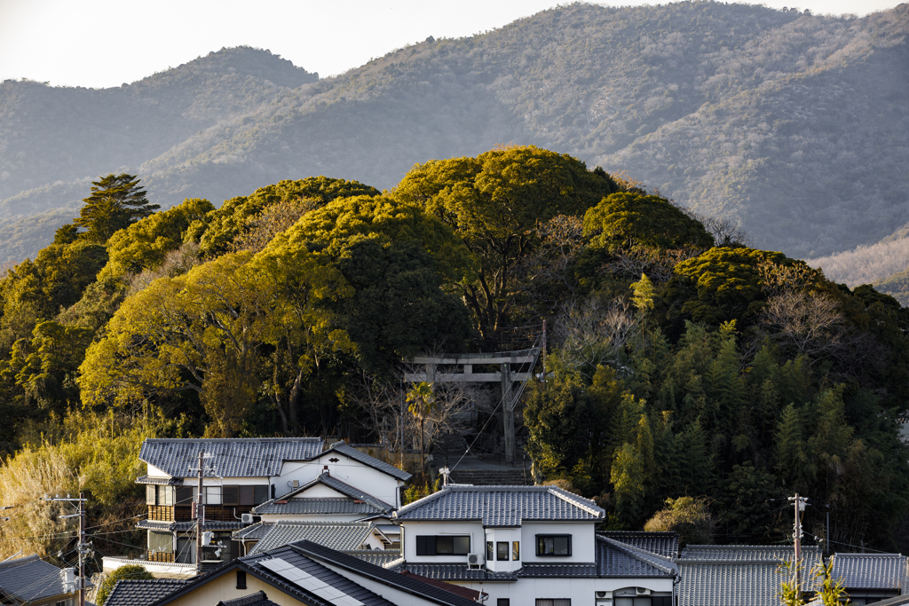 神様の社