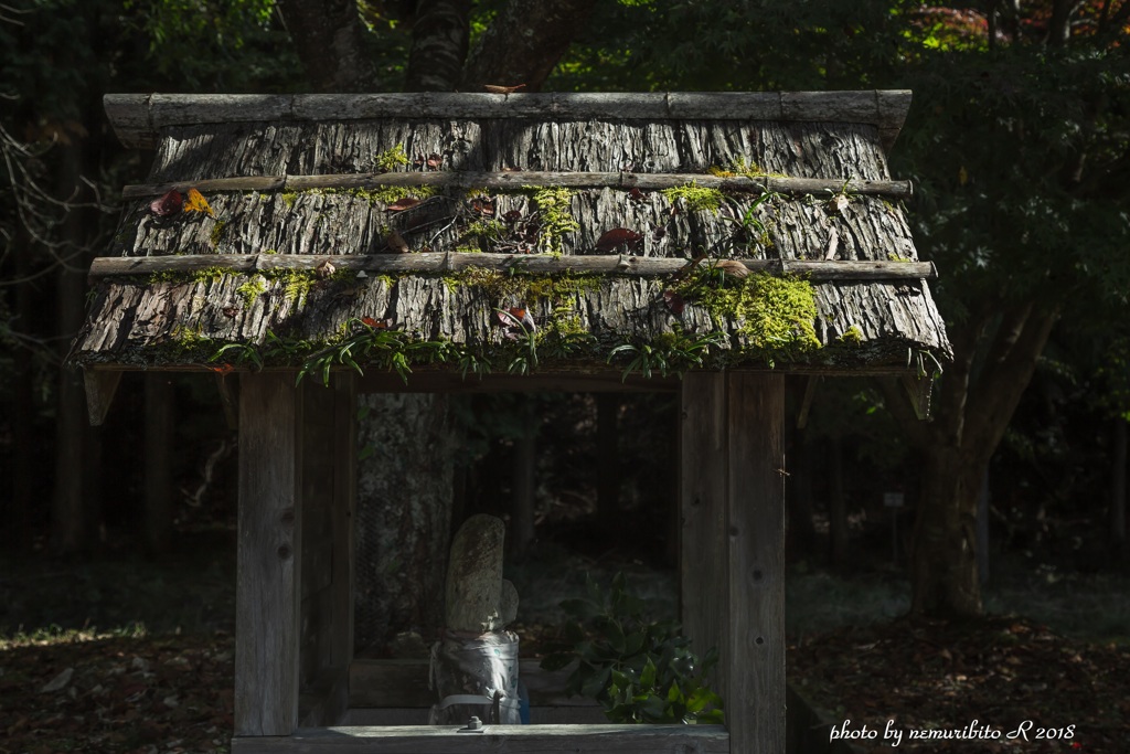 屋根の下で