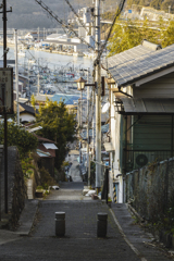 港までお散歩