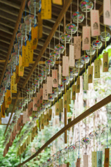 風鈴の音 フクロウ寺の夏⑤