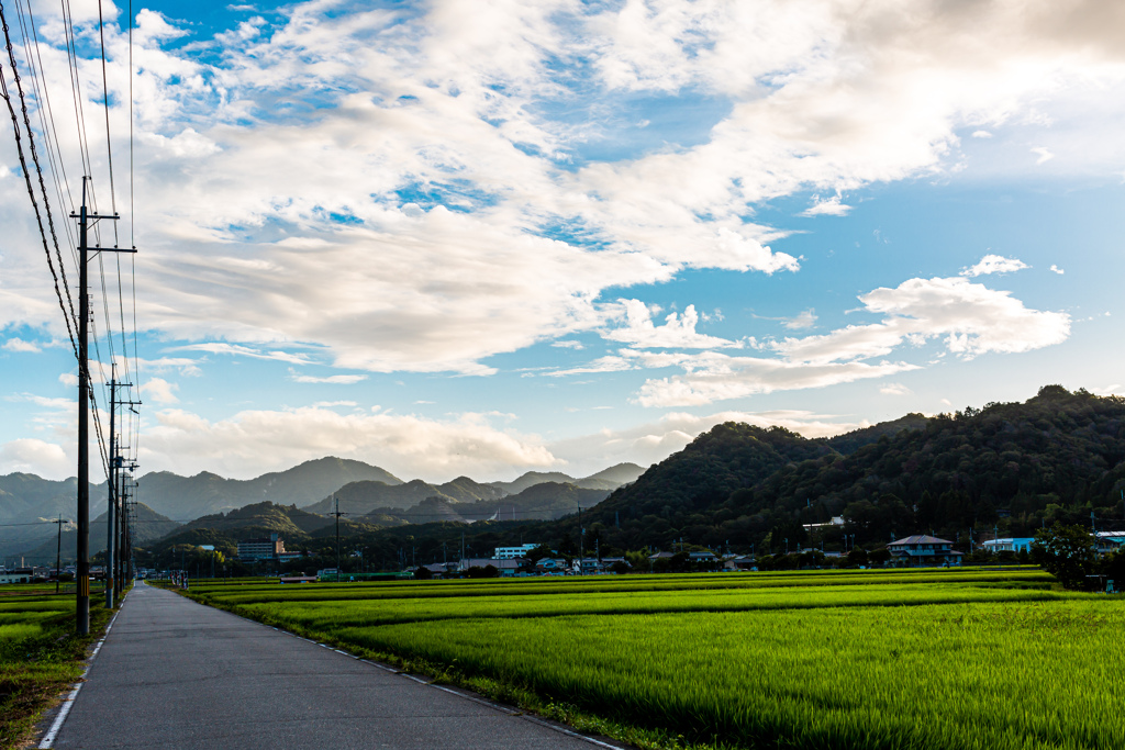 田舎の夏 By Nemuribito R Id 写真共有サイト Photohito