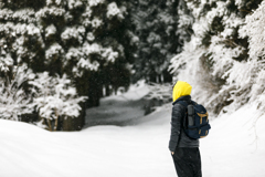 雪景色に見惚れる者