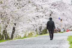 【 花道を歩む 】