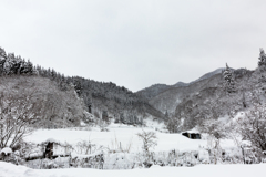 雪の景色