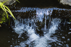 水の音で気分だけでも・・・