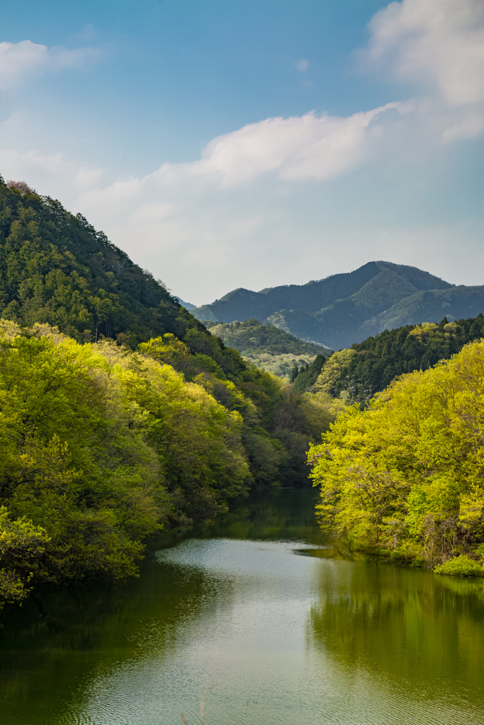 自然のグラデーション