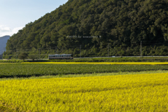 佐用町 姫新線 秋の風