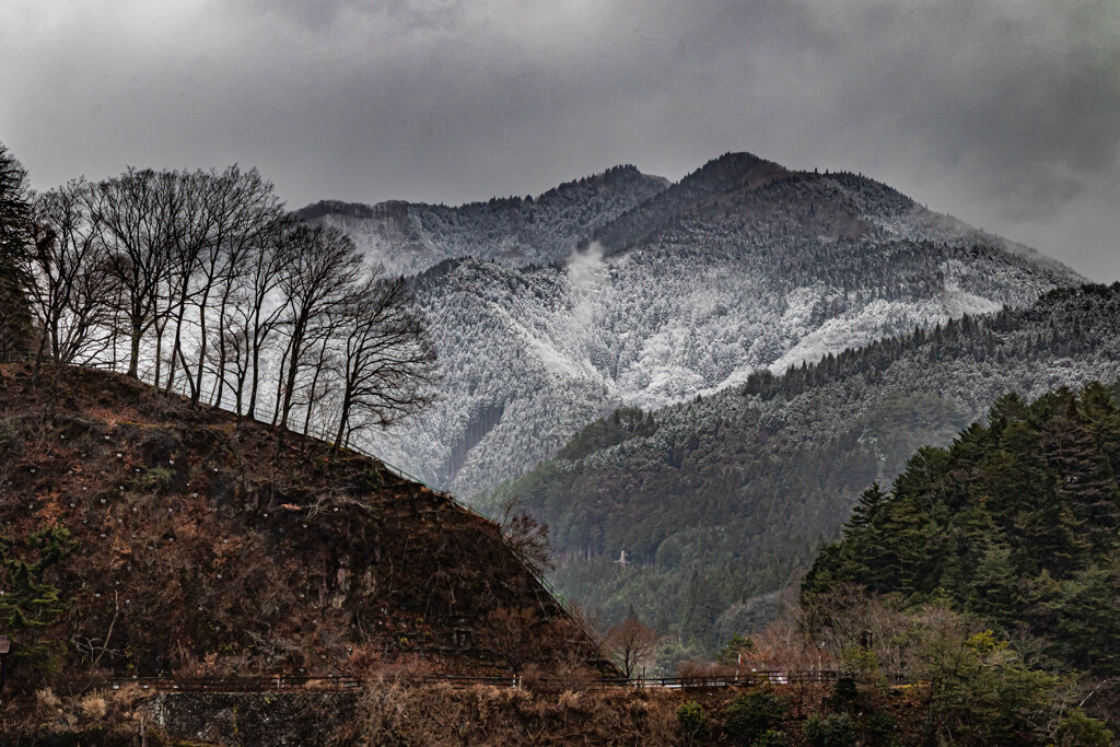 静寂と雪景色