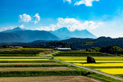 田舎の風景