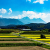 田舎の風景