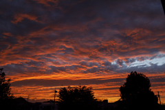 秋空の夕景