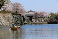 春の姫路散歩旅 ⑧ 観光客の群れ