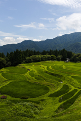 うへ山の棚田