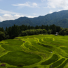 うへ山の棚田