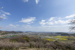 綾部山梅林からの景色