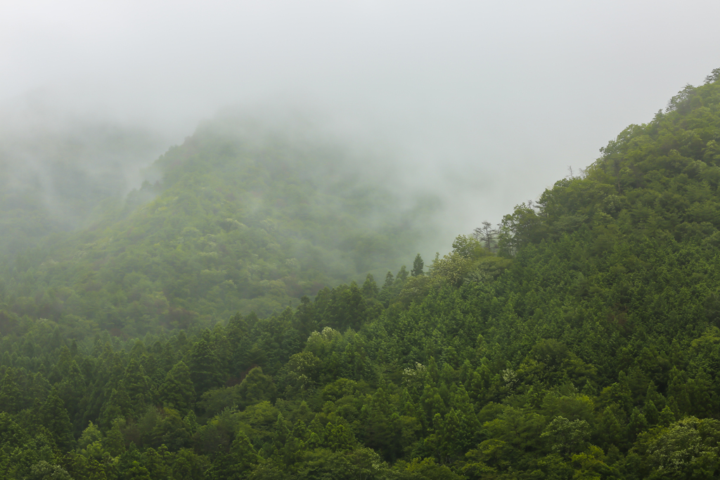 霧が山をのみこんでいく