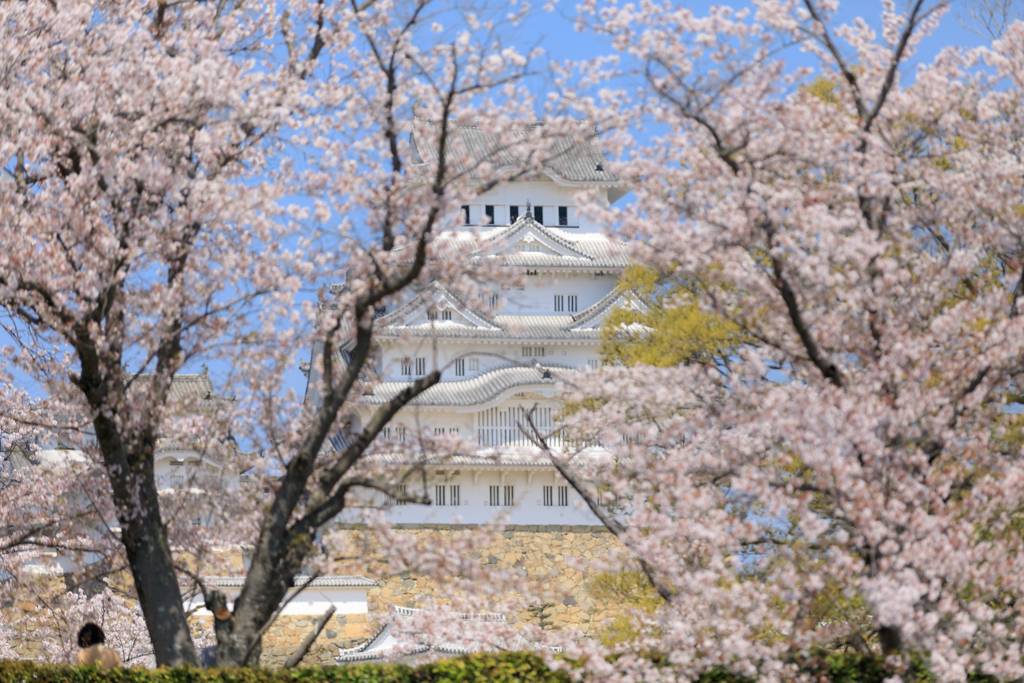 春の姫路散歩旅 ⑦ 春に埋もれる