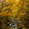 赤西渓谷の秋　自然が見せる色