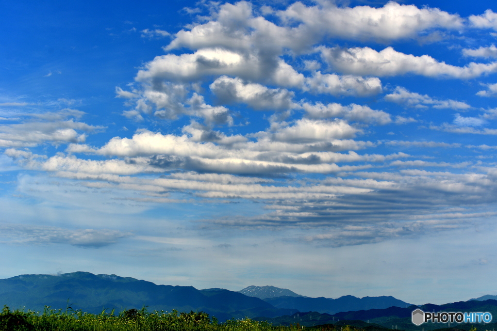 初夏の空