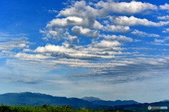 初夏の空