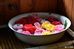 薔薇