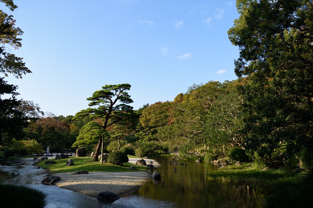 日本庭園3