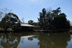 奈良公園内の池