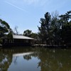 奈良公園内の池