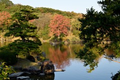 日本庭園　2