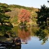 日本庭園　2