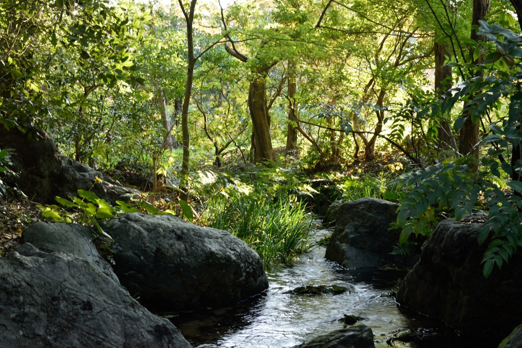 日本庭園