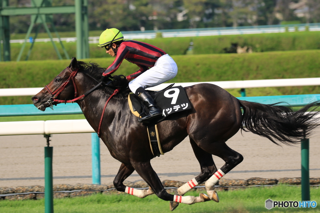 JRA阪神競馬場