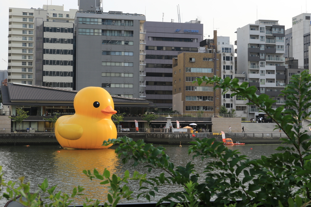 Osaka River Side