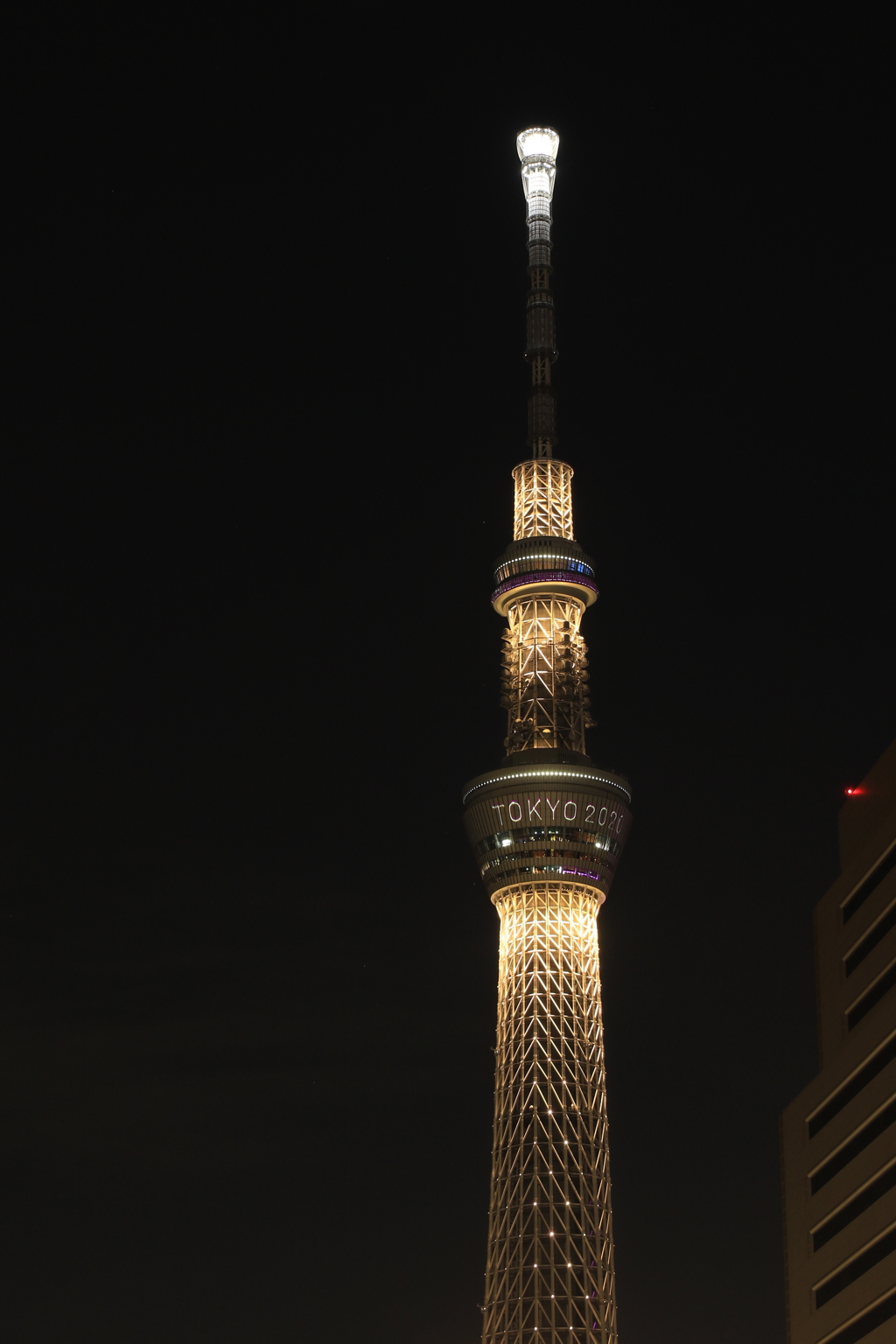 隅田川さんぽ（夜）