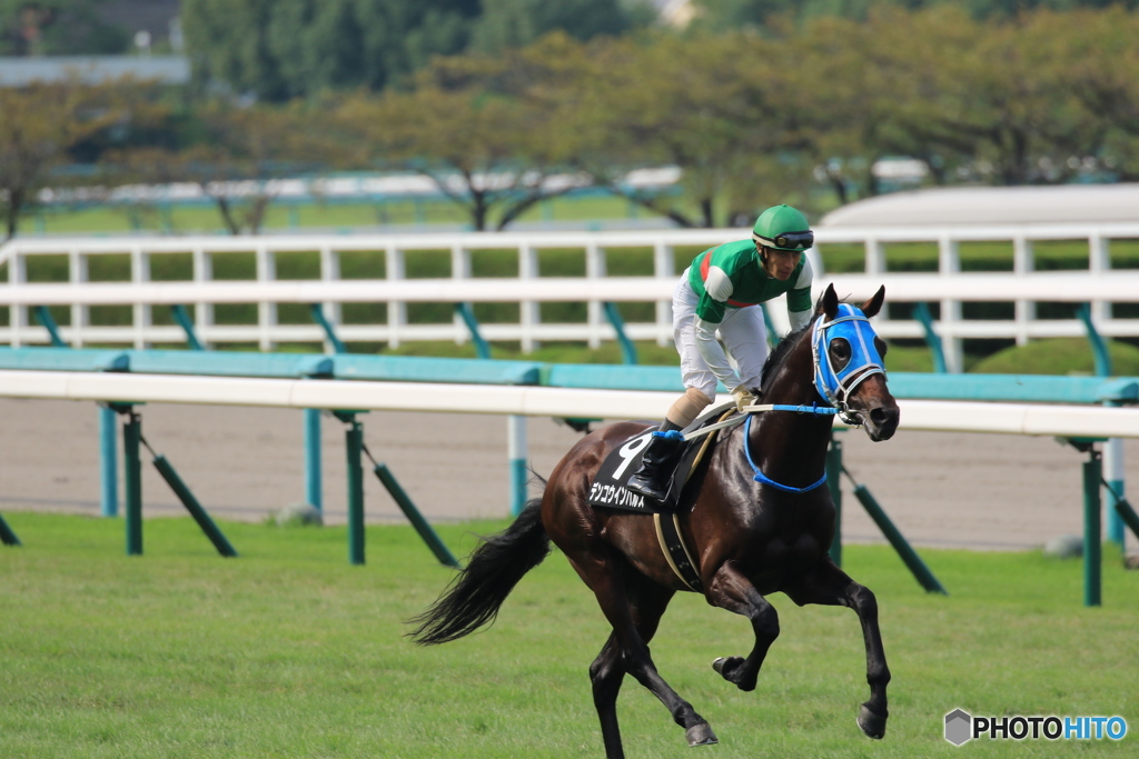 JRA阪神競馬場