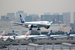 HANEDA Shot