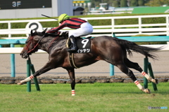 JRA阪神競馬場