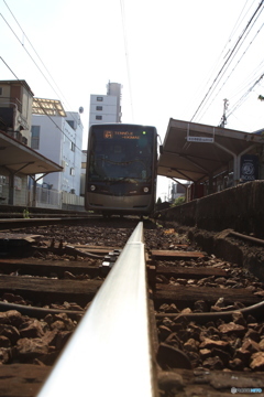 阪堺電車