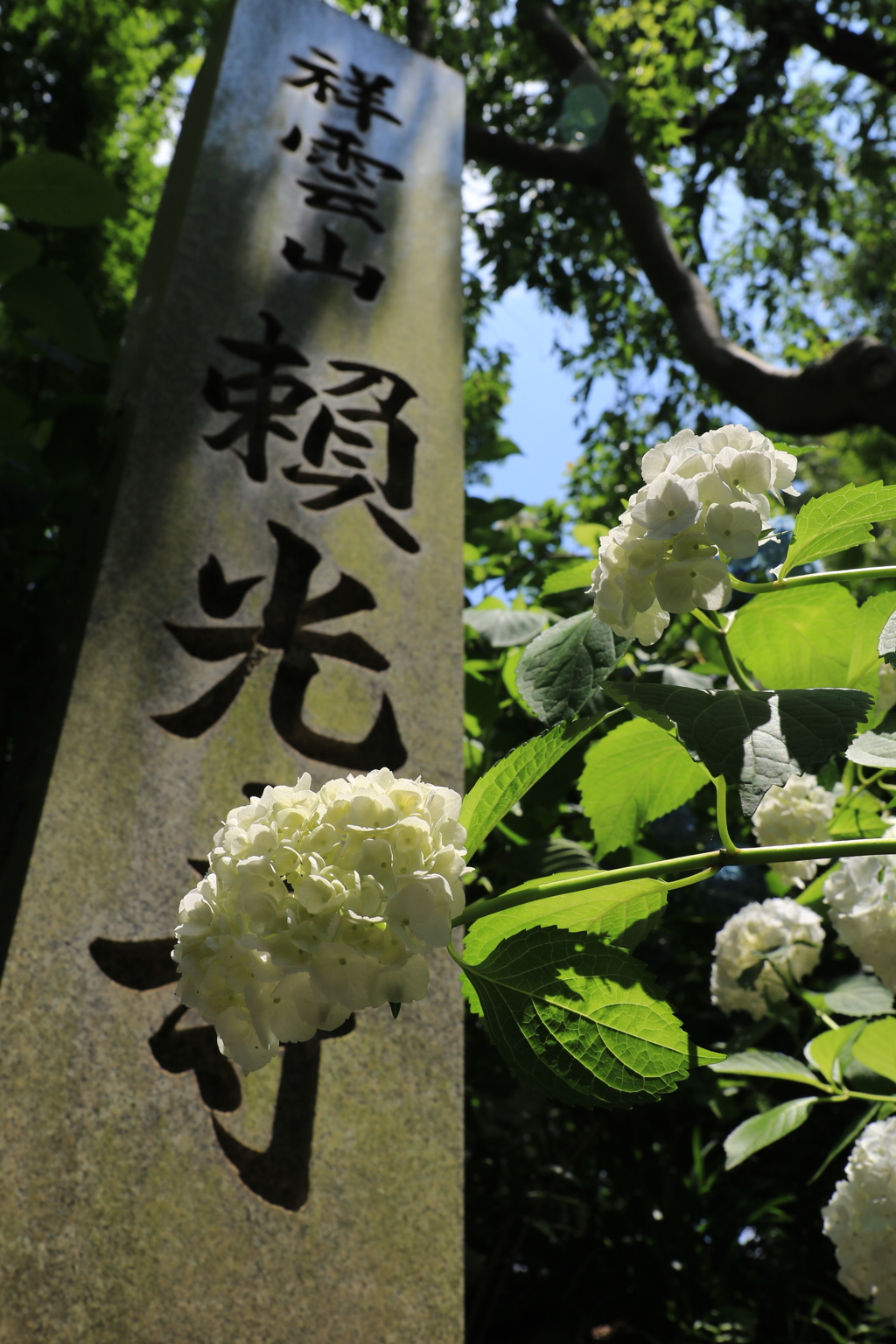 ぶらぶらさんぽ＠頼光寺・久安寺