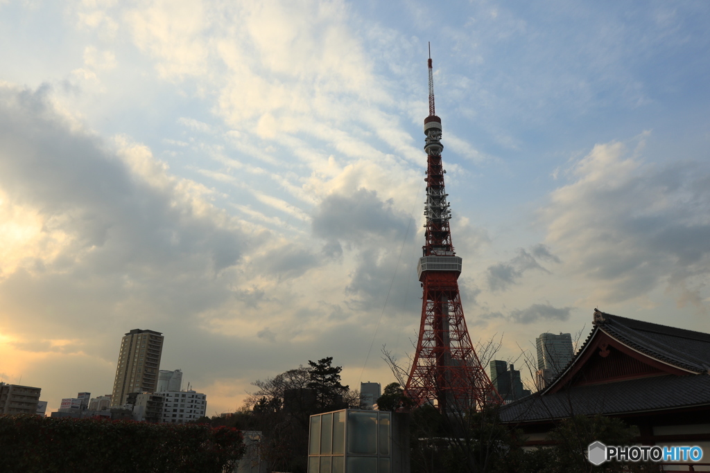 芝公園散歩