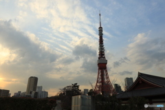 芝公園散歩