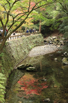 箕面瀧道さんぽ