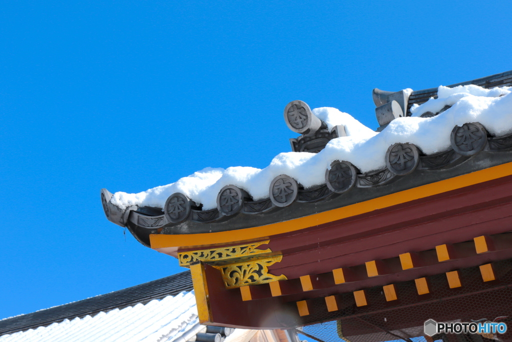 ぶらぶらさんぽ＠池上本門寺